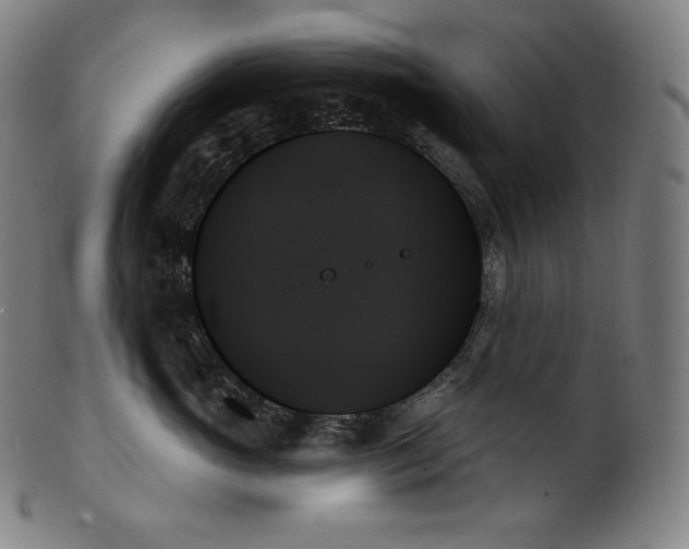 X0000099950765200806061542