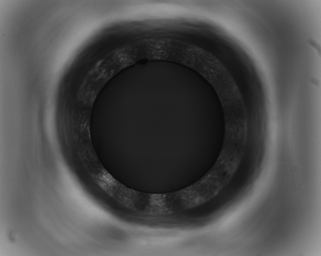 X0000099950766200806061542