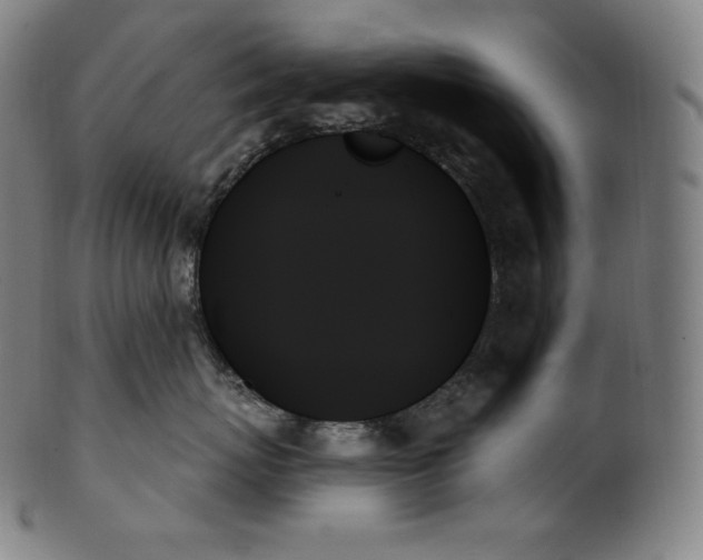 X0000099950767200806061542