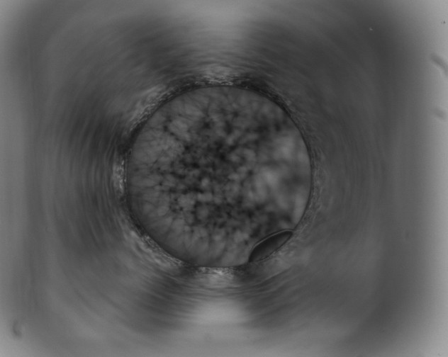 X0000099950768200806061542