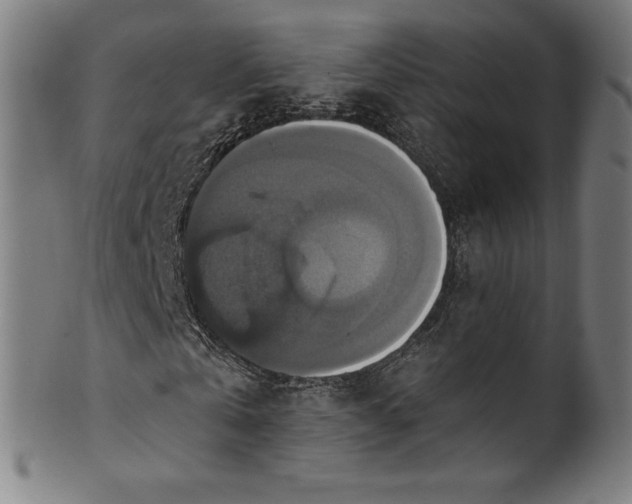 X0000099950769200806061541