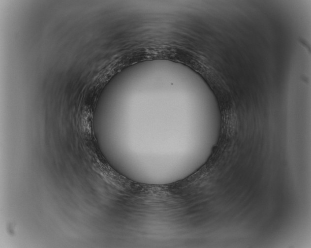 X0000099950770200806061541