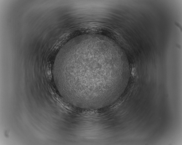 X0000099950771200806061541