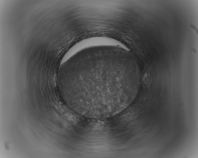 X0000099950772200806061541