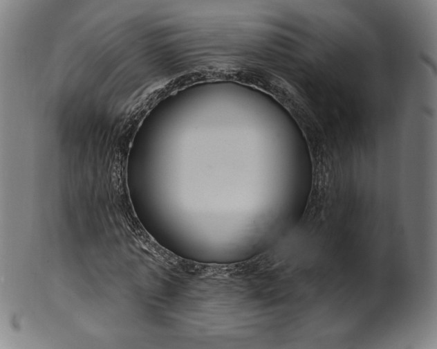 X0000099950773200806061541