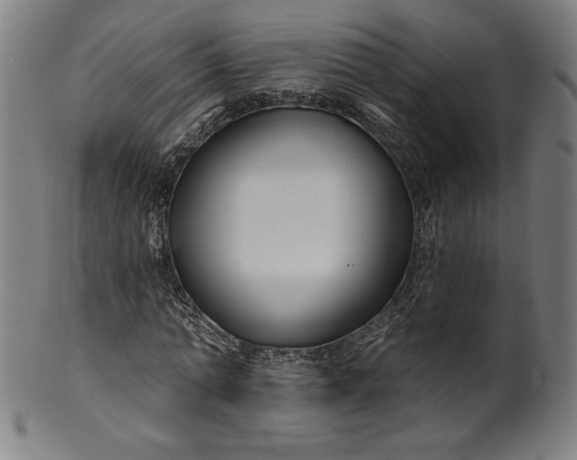 X0000099950774200806061541