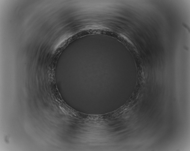 X0000099950775200806061541