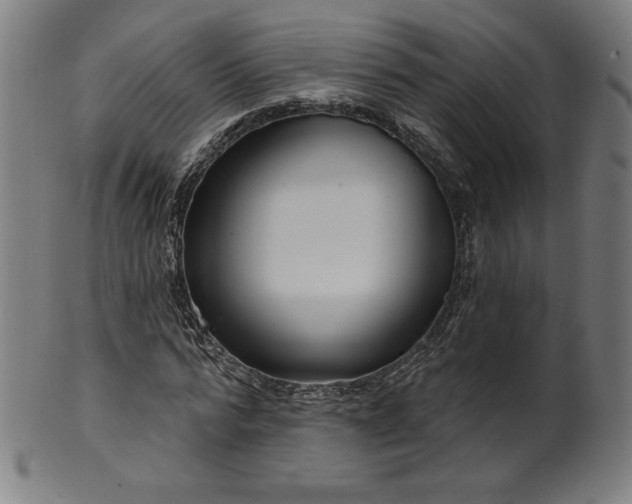 X0000099950776200806061541