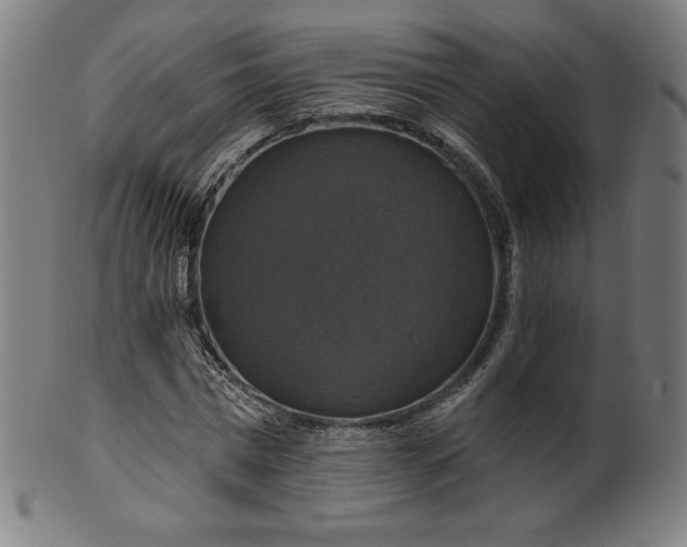 X0000099950777200806061541