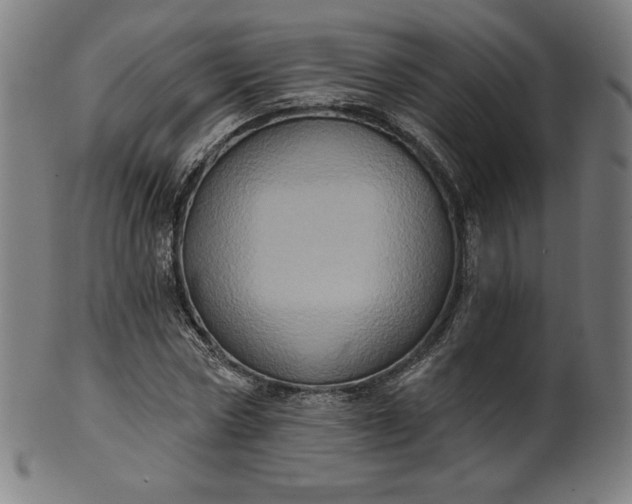 X0000099950778200806061541