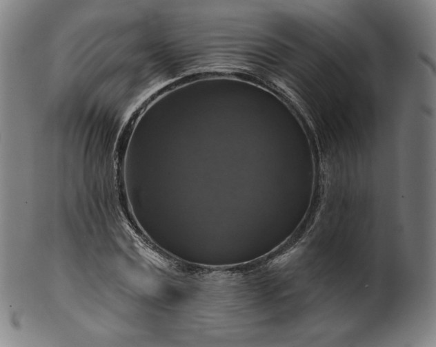 X0000099950779200806061541