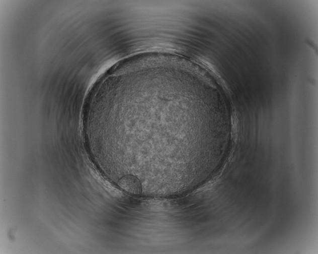 X0000099950780200806061541