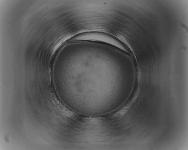 X0000099950781200806061541