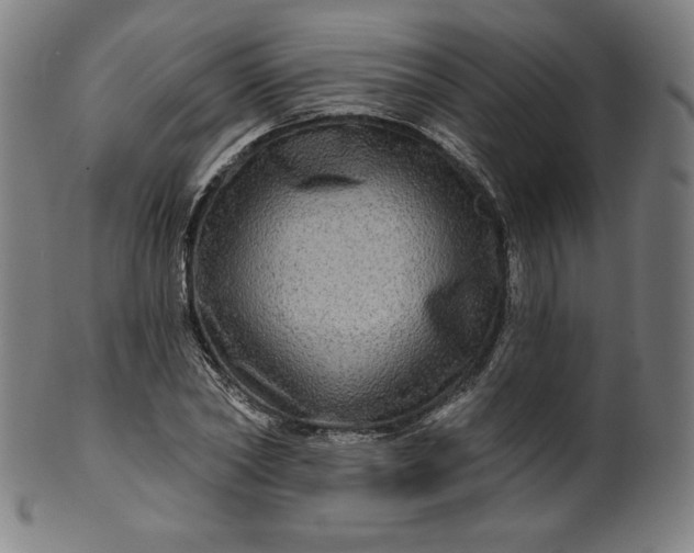 X0000099950782200806061541