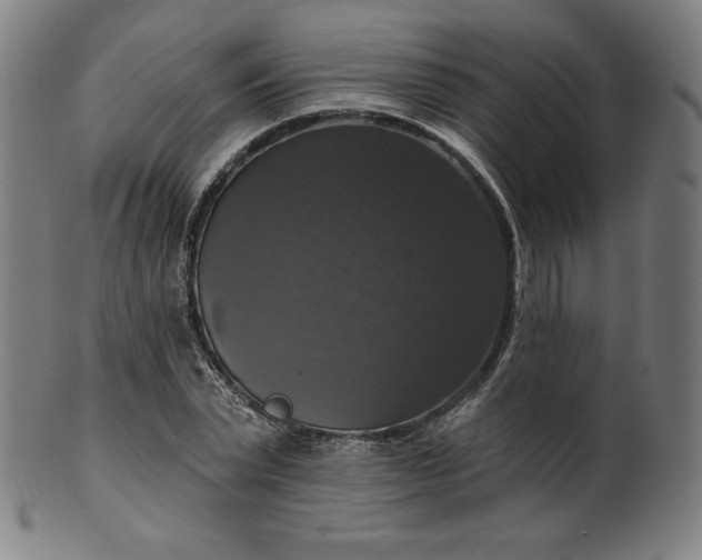 X0000099950783200806061541