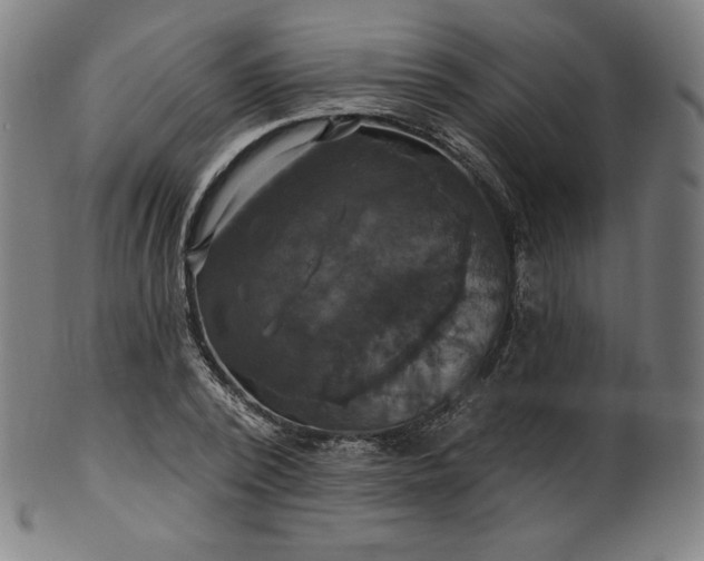 X0000099950784200806061541