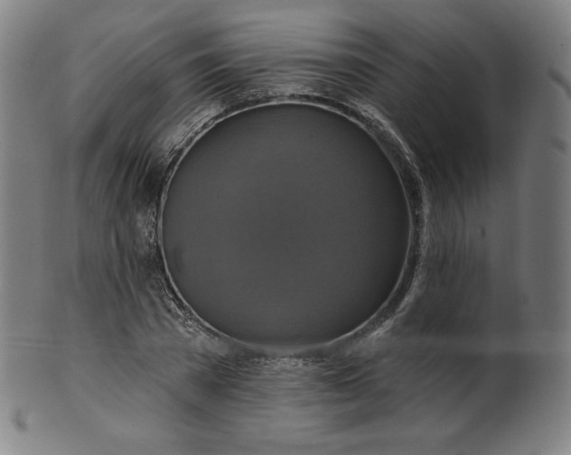 X0000099950785200806061541