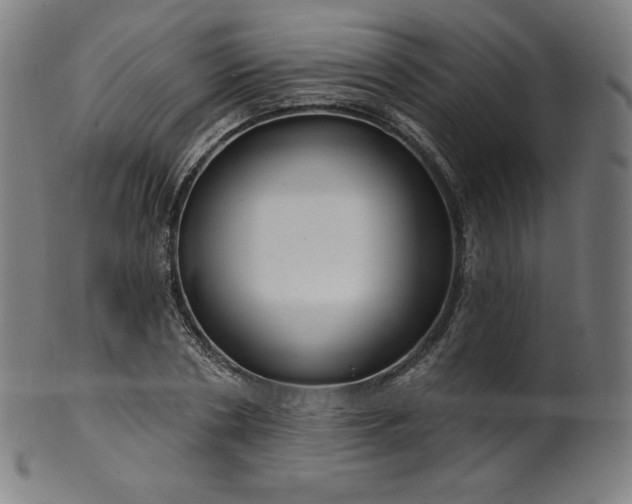 X0000099950786200806061541