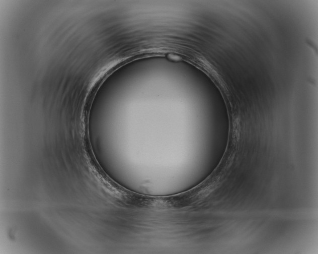 X0000099950787200806061541