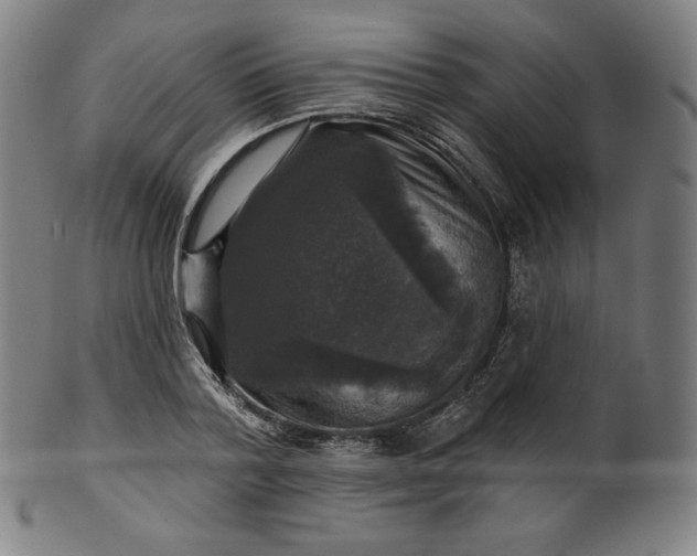 X0000099950788200806061541