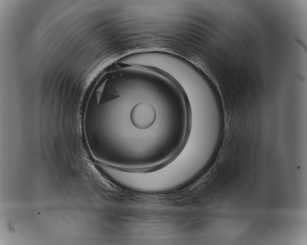 X0000099950789200806061541