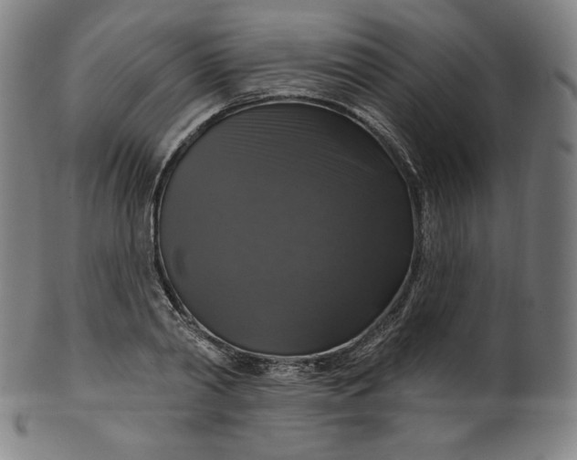 X0000099950790200806061541