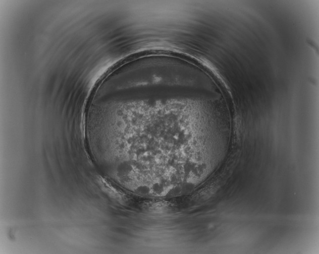 X0000099950791200806061541