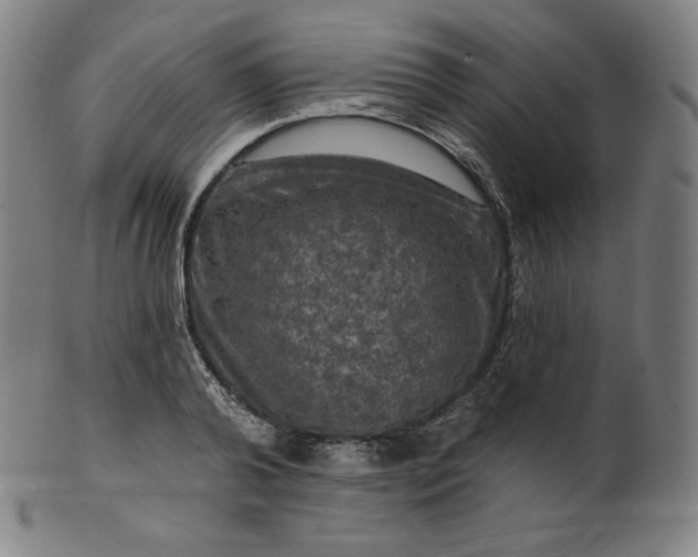 X0000099950792200806061541