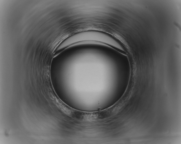 X0000099950793200806061541