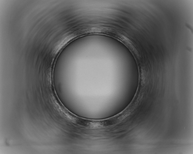 X0000099950794200806061541