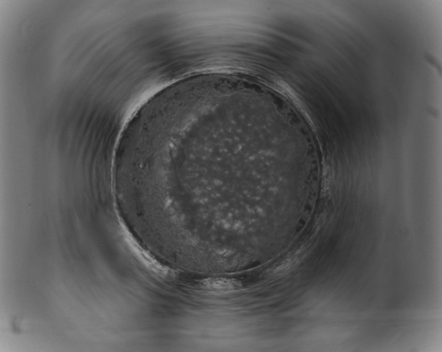 X0000099950795200806061541