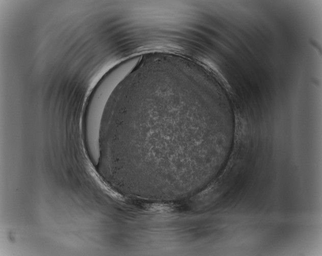 X0000099950796200806061541