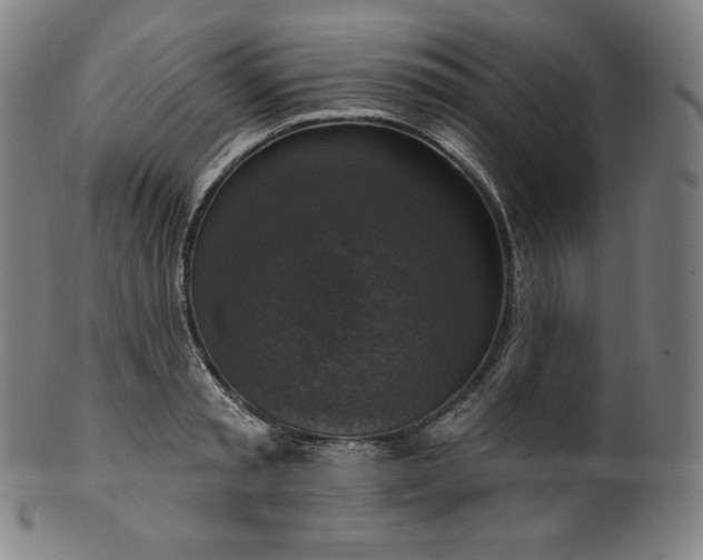 X0000099950797200806061541