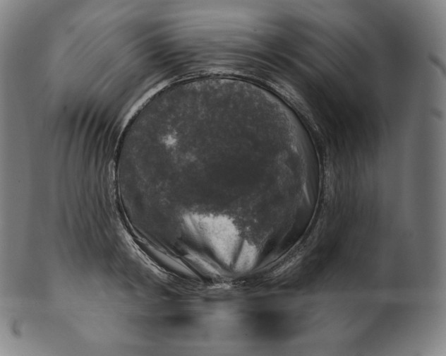 X0000099950798200806061541