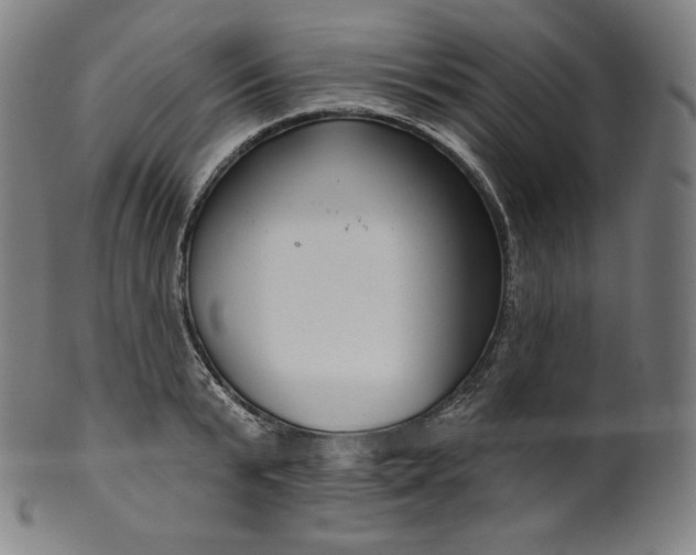 X0000099950799200806061541