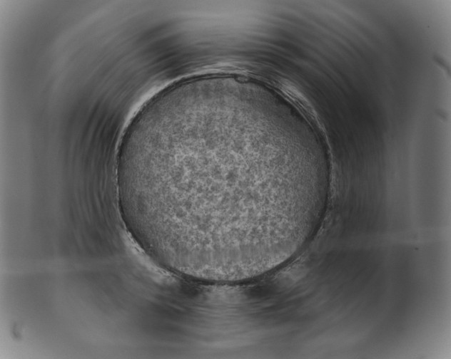 X0000099950800200806061541