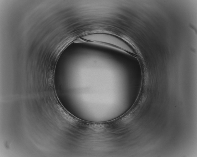 X0000099950801200806061541