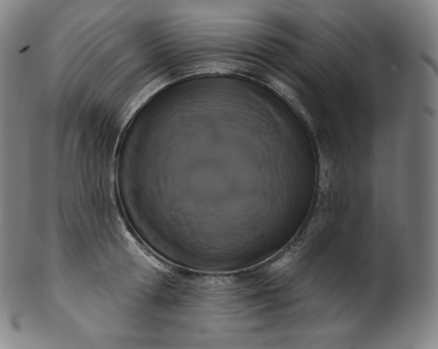 X0000099950802200806061541