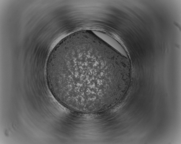 X0000099950803200806061541