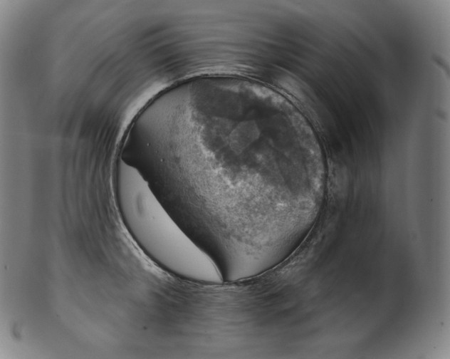 X0000099950804200806061541