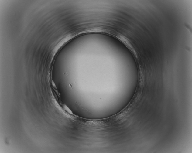 X0000099950805200806061541