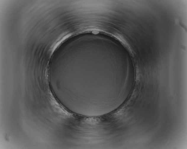 X0000099950806200806061541