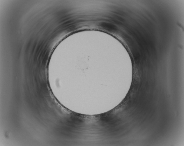 X0000099950807200806061541