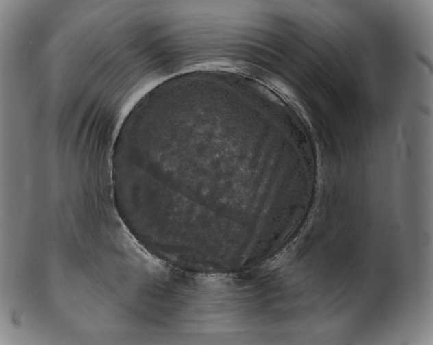 X0000099950808200806061541