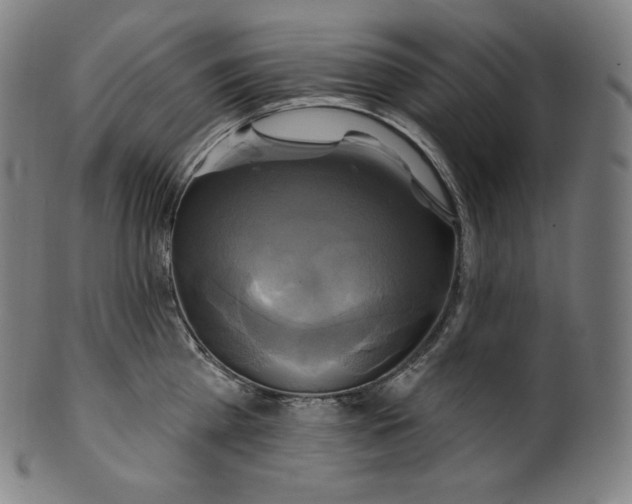 X0000099950809200806061541