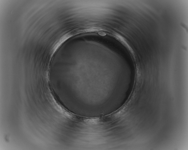 X0000099950810200806061541