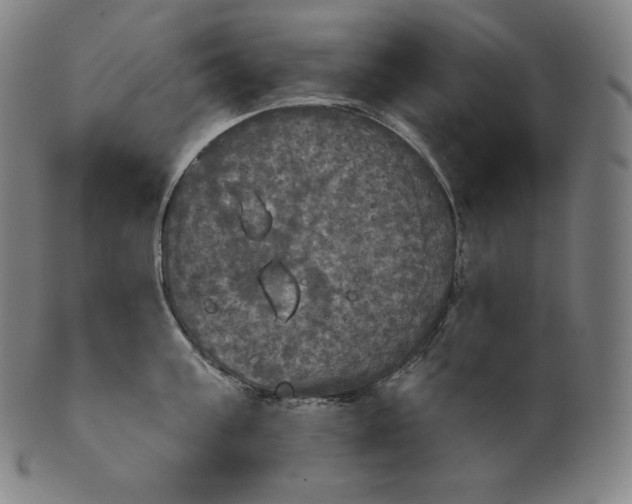 X0000099950811200806061541