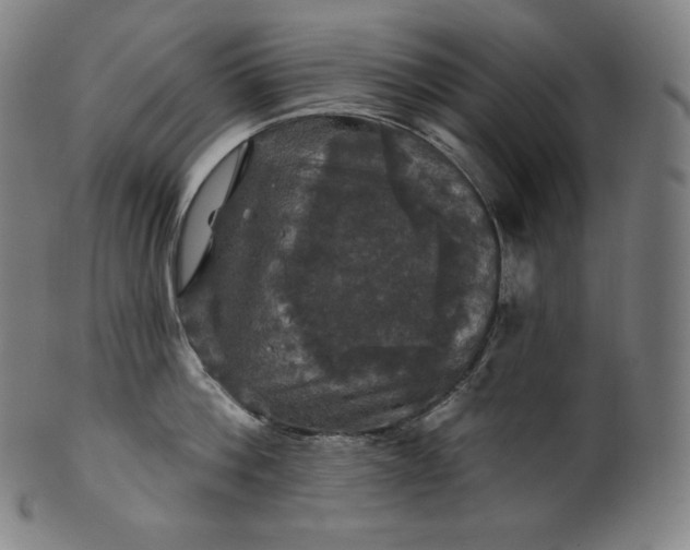 X0000099950812200806061541