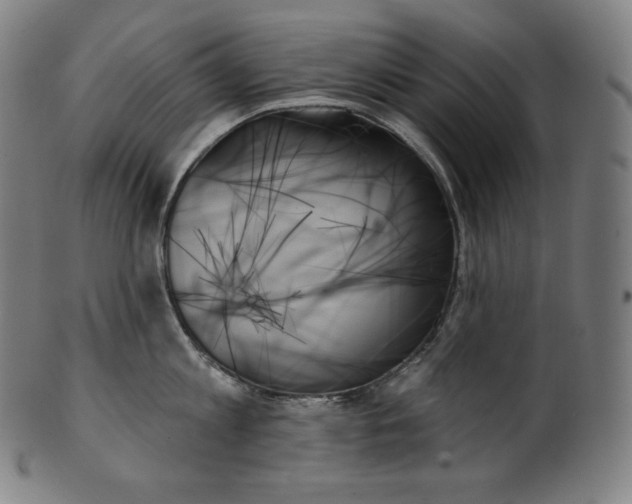 X0000099950813200806061541