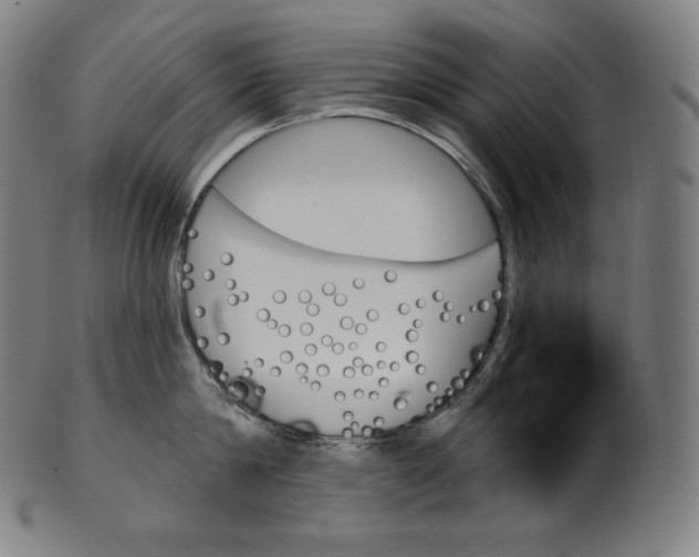 X0000099950814200806061541